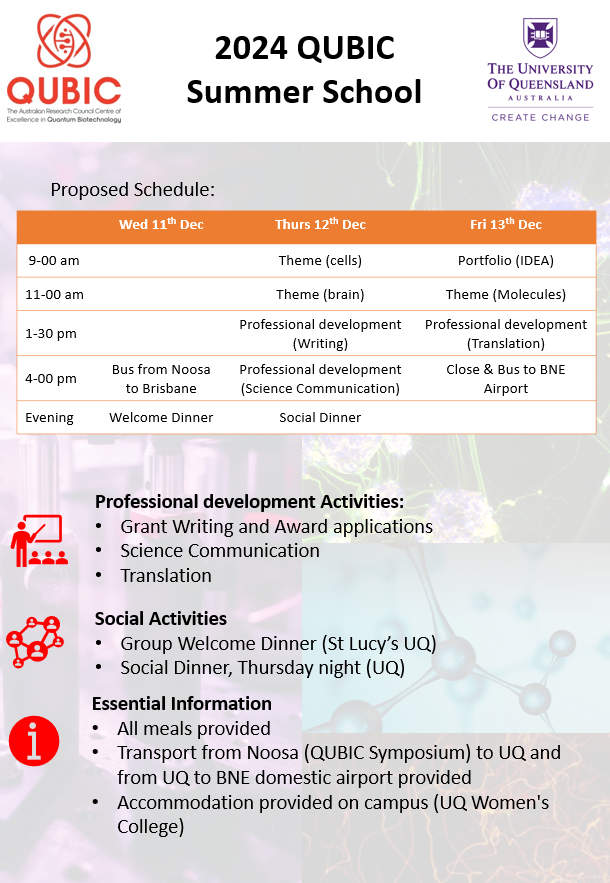 Image of Summer School Program