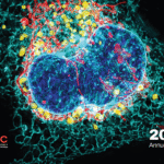 Cover of the 2024 Annual Report